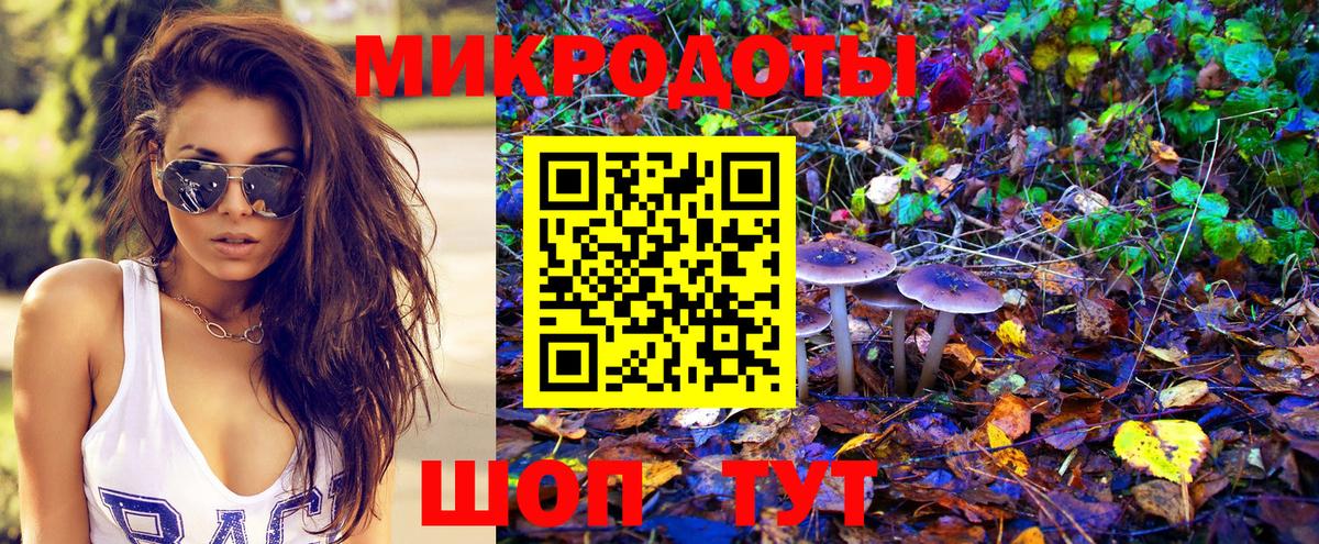 Псилоцибиновые грибы Cubensis Жигулёвск