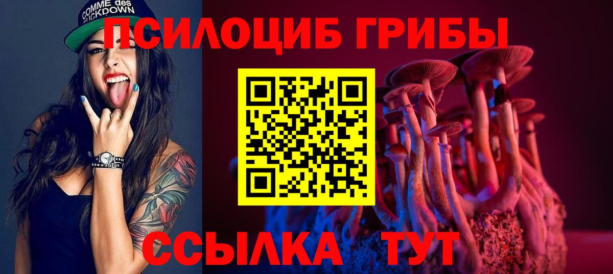 Жигулёвск  хочу наркоту  Вход с VPN  Галлюциногенные грибы Psilocybe 